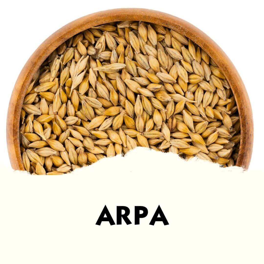 Arpa